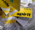 Flight attendants freaked out that Google is buying tons of Spirit employee data
