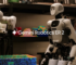 Google reveals Gemini Robotics 2.0, promising improved dexterity and safety